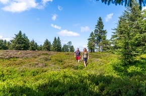 Thüringer Tourismus GmbH: Pressedienst "Thüringen-Tipps": Verlaufen (fast) unmöglich: Die neue Thüringer Wald App