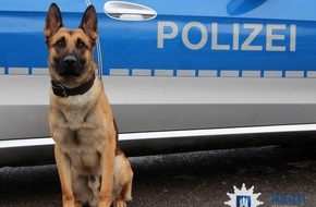 Polizei Hamburg: POL-HH: 221206-2. Diensthund "Ori" stellt zwei mutmaßliche Diebe in Hamburg-Veddel