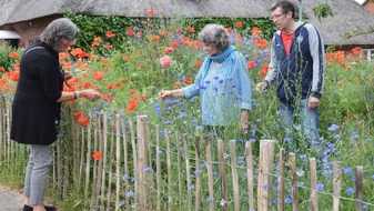 Stiftung für Mensch und Umwelt: „Villa für Wildbienen“ und „Neu-Balkonesien“: Jetzt noch beim Pflanzwettbewerb 2022 mitmachen!