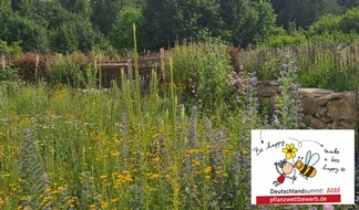 Stiftung f&uuml;r Mensch und Umwelt: Deutschland summt!-Pflanzwettbewerb: Beste Naturgartenprojekte 2026 ausgezeichnet