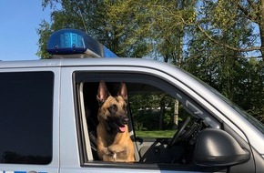 Polizei Essen: POL-E: Essen: Diensthund Krabat ertappt Katalysatordiebe auf frischer Tat