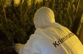 Polizeipräsidium Hamm: POL-HAM: Cannabisplantage auf Dachboden entdeckt