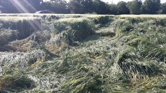 Polizeidirektion Worms: POL-PDWO: Landwirtschaftliche Flächen beschädigt