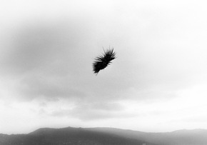 Hannah Villiger: Sculpting the Self