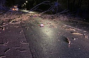 Polizei Bochum: POL-BO: Baum fällt auf fahrenden Pkw