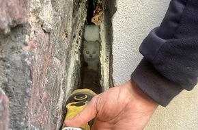 Feuerwehr Bochum: FW-BO: K&auml;tzchen aus Zwangslage befreit