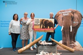 IFAW Deutschland: Schluss mit dem Elfenbeinhandel in Deutschland und der EU