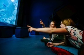 Klimahaus Bremerhaven gGmbH: Pressemeldung: Kochworkshops, Tierbesuche und ungew&ouml;hnliche Nachtlager - Spannendes Sommerferienprogramm im Klimahaus Bremerhaven