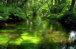 Deutsche Bundesstiftung Umwelt (DBU): DBU: Sorgsam mit Wasser umgehen