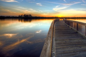 Zwischen Meer und Mangroven: Die Tierwelt der Bradenton Gulf Islands