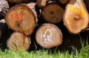Forest Stewardship Council (FSC): Sind Deutschlands W&auml;lder fit f&uuml;r die Zukunft? Das FSC-Zertifikat wird immer wichtiger