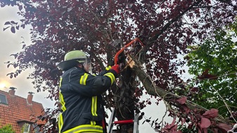 FW Celle: Wetterbedingte Einsätze am Donnerstag