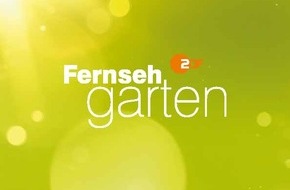 ZDF: Joachim Llambi und Lutz van der Horst vertreten Andrea Kiewel im "ZDF-Fernsehgarten"