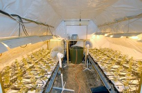 Polizei Düsseldorf: POL-D: Meldung Cannabiszucht - Weitere Bilder
