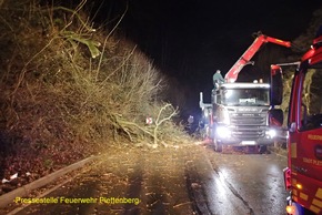 FW-PL: Bäume auf der Straße, Schornsteinbrand, Ölspur, Brandmeldealarm