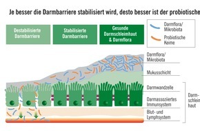 CGC Cramer-Gesundheits-Consulting GmbH: Verdacht auf Reizdarm? Darmbarriere prüfen lassen / Immer wieder Durchfall, Blähungen, Krämpfe: Noch ganz dicht (im Darm)?