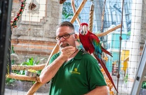 Tropical Islands Holding GmbH: Ara-Nachwuchs im Tropical Islands - Zicke und Paul sind Eltern geworden