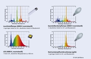 Pressestelle licht.de: Moderne Lichttechnik schont nachtaktive Tiere