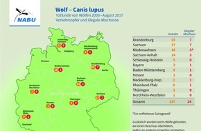 NABU: NABU: Wolf in Baden-Württemberg illegal erschossen - 24. Fall in Deutschland / Politik darf illegale Tötungen mit Forderung nach Abschussquote nicht salonfähig machen