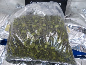 ZOLL-F: Fünf Männer wegen Verdachts des Drogenschmuggels festgenommen - 3,2 Tonnen Khat sichergestellt
