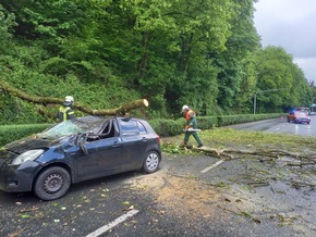 FW-EN: Massiver Baum st&uuml;rze auf fahrenden Pkw - Zwei Verletzte bei Unfall in Herdecke - Gro&szlig;es Gl&uuml;ck f&uuml;r Insassen