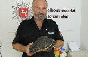 Polizeiinspektion Hameln-Pyrmont/Holzminden: POL-HOL: Holzminden - Burgbergblick: Wer vermisst seine Schildkröte?  - Sonntagabend im Bereich Burgbergblick unterwegs -