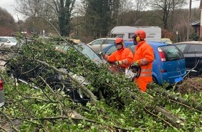 Feuerwehr Stolberg: FW-Stolberg: Baum auf Auto