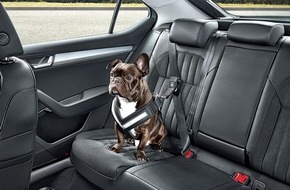 Skoda Auto Deutschland GmbH: Auf den Hund gekommen: SKODA bietet umfangreiches Zubehör für den sicheren und sauberen Transport von Vierbeinern (FOTO)