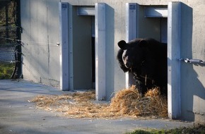 Deutscher Tierschutzbund e.V.: PM - Weidefelder Bären halten Winterruhe