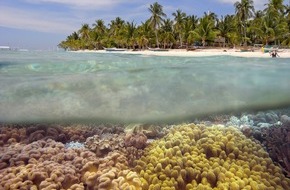 Universität Bremen: Bedrohte Korallenriffe im Fokus