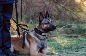 Hauptzollamt Osnabr&uuml;ck: HZA-OS: Sp&uuml;rhund Cracker hatte den richtigen Riecher; Osnabr&uuml;cker Zoll stellt Drogen im Wert von rund 100.000 Euro sicher