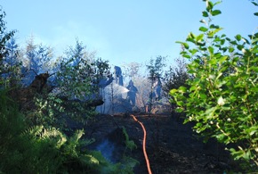 FW-MK: Waldbrand im Grüner Tal fordert die Feuerwehr