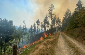 Feuerwehr Iserlohn: FW-MK: Waldbrand am Hegenscheid