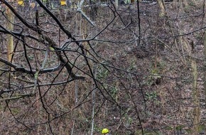 Feuerwehr Gevelsberg: FW-EN: PKW landet in Ennepe