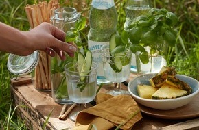 Informationszentrale Deutsches Mineralwasser: Genug Trinken im Sommer: Fünf einfache Tipps