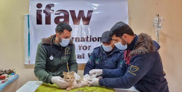 IFAW unterstützt Tierrettungsmaßnahmen im Erdbebengebiet