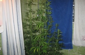 Polizeidirektion Göttingen: POL-GOE: (279/20008) Bei Durchsuchung - Polizei findet Cannabispflanzen im Kleiderschrank