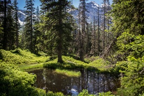 Nationalpark Hohe Tauern eröffnet die Sommersaison