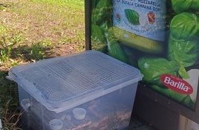 Polizeipräsidium Offenburg: POL-OG: Niederbühl/Rastatt - Hamster zum Sterben ausgesetzt, Zeugenaufruf
