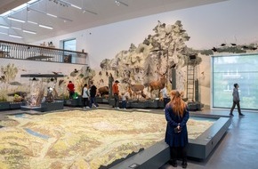 Naturmuseum St. Gallen: Das grosse Krabbeln im Naturmuseum