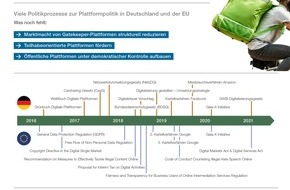 Institut für ökologische Wirtschaftsforschung: Digitale Plattformen regulieren: Für das Gemeinwohl und für die User