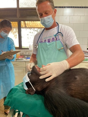 AniCura-Tierarzt Torsten Hofmann engagiert sich im Ausland für Tiere und Menschen