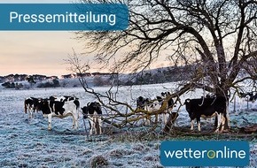 GTÜ: Bei Frost und Kälte auf volle Batterieladung achten