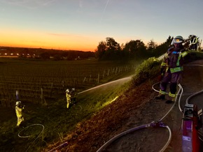 FW Weinheim: Feuer im Weinberg - Weinheimer Feuerwehr stoppt Flammen im Abendrot