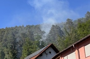 Polizeiinspektion Dahn: POL-PIDN: Vermutlich von Deodose verursachter Waldbrand