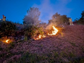 FW Weinheim: Feuer im Weinberg - Weinheimer Feuerwehr stoppt Flammen im Abendrot