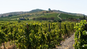 Mediterranean Hospitality: Herbst an der Küste der Götter – Kalabriens stille Schönheit