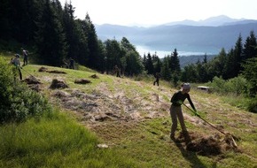 Bergwaldprojekt e.V.: Freiwillige in Bad Tölz wieder im Einsatz für einen stabilen Schutzwald