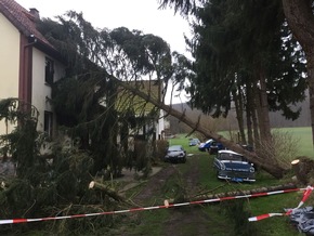 FW Lügde: Flächenlage für die Feuerwehr Lügde durch das Sturmtief Friederike