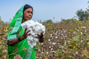 Regenerative Cotton Standard® liefert beeindruckende Ergebnisse nach erster Ernte in Indien